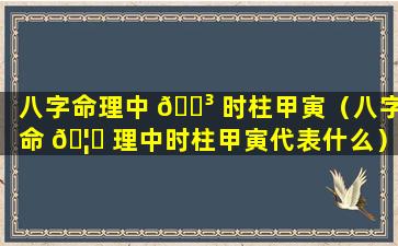 八字命理中 🐳 时柱甲寅（八字命 🦋 理中时柱甲寅代表什么）